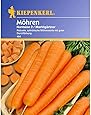 Kiepenkerl Möhren 'Nantaise 2 Marktgärtner',1 Portion