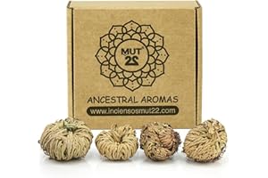 MUT22 4 Rosa de Jericó Mini 1-2 Pulgadas, Plantas Místicas de Resurrección para Decoración y Meditación