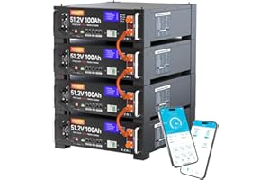 ‎FEENCE 48V 400Ah LiFePO4 Lithiumbatterie, Server Rack Batterie mit Bluetooth, 100A BMS with RS485/CAN Communication, 20,48kWh Kapazität, ideal für netzunabhängige Solarenergiespeicherung