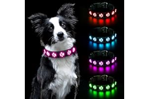 AUAUY LED Collier Lumineux pour Chiens, Lumière Collier Chien Rechargeable et Etanche, Collier de Réglable avec 3 Modes d'éclairage pour Petits/Moyens/Grands Chiens(Rose, M)