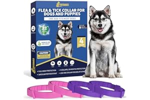 YOTANGO Collares Antiparasitarios para Perros, 32 Meses de Protección, Collar Antipulgas para Perros, 4 Pcs Collar de Pulgas y Garrapatas para Perros de Todos los Tiposs-Rosa y Violeta