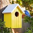 BIRDSHALA Wooden Large Bird House for Sparrow, Budgies, Bulbul, Wild Birds & Pet Birds - Colorful Garden Decorative (Yellow)