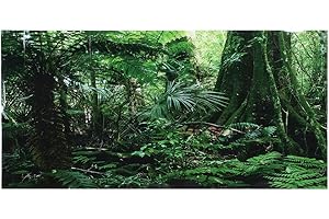 Pssopp Effet 3D forêt tropicale affiche autocollant reptile terrarium aquarium toile de fond aquarium réservoir autocollant mural aquarium fond affiche sous-marine PVC décor papier peint(76 * 46cm)