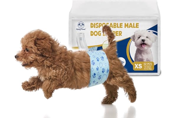 Flying Paws 52 Pañales Desechables XS para Perros Macho con Indicador de Humedad, Protección Antifugas Pañales Suaves Súper Absorbentes