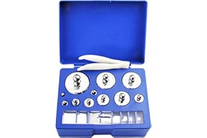 HFS (R) M2 Klasse 19-teiliges Kalibriergewichtsset mit Koffer (10 mg, 20 mg, 50 mg, 100 mg, 200 mg, 500 mg, 1 g, 2 g, 5 g, 10 g, 20 g, 50 g, 100 g, 200 g) – 501,1 g Gesamtgewicht