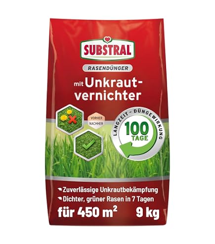 trachycarpus fortunei düngen Trachycarpus fortunei (Chinesische Hanfpalme) kaufen? | Jackie main image 0