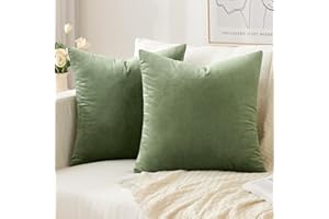 Slozzi 2er Set Samt Kissenbezüge Haushalt Dekokissen Dekorative Kissenhülle Weich Sofakissen für Sofa Schlafzimmer Wohnzimmer 40x40 cm Grün