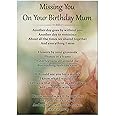 Happy Birthday Mum Graveside Poem Memorial Card & Ground Stake F66 - View #11