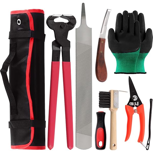 French Riding Tools 5-piece Farrier Tool Set CHALLENGER Horse Farrier Tool Kit – 5-Piece ...