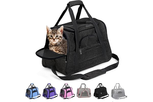 Sac Transport Chat, Chat et Chien Sac de Transport pour,Caisse de Transport Chat Respirant et Pliable Cage Transport Chat avec Matelas en Peluche Amovible Sac de Transport Chat(Noir)