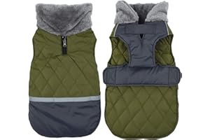 Ctomche Waterproof Windproof Coat for Cold Weather - Warm Reversible Stormguard Winter Vest With Harness Hole, Green-S