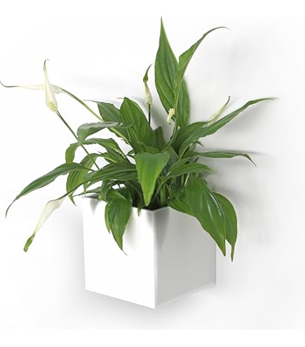 Set 3 Cilindri Magnetici KalaMitica - Bianco, Rosso, Grigio - Portaoggetti Per Lavagne Magnetiche - Foto 10