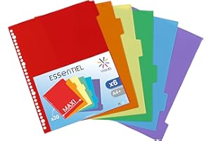 Viquel – Juego de 6 separadores de plástico, tamaño A4 Maxi – Perforación de 30 agujeros – Separadores escolares o de oficina