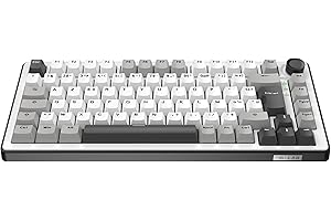 The G-Lab KEYZ Elite 300 WG - Clavier Gamer sans Fil TKL, Tri Mode 2.4 Ghz/Bluetooth/Filaire - Clavier Mécanique Hot Swap, Switch Pré-lubrifié, Gasket 5 Couches, RGB+Macro - AZERTY FR - Windows/Mac