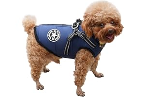 RarSSA Hundemantel Wasserdicht, Warme Winter Hundejacke mit Geschirr, Hund Wintermantel für Kleine Mittel GroÃŸe Hunde, Chihuahua Labrador Französische Bulldogge Mantel