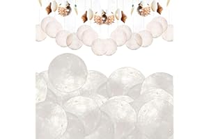 VIQIHEOE Dischi di Conchiglia, 100 Pezzi Dischi di Conchiglia in Madreperla, Materiali Artigianali Rotondi con Foro, per Finestre o Decorazioni in Soggiorno, Artigianato fai Da Te(Bianco)