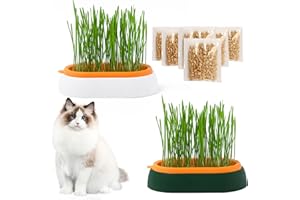 HOMURY Katzengras Tablett Wachstumsset: Kunststoff Bequem Katze Gras Fall, 2 Stücke Hydroponik-Katzengraskasten mit 6 Tasche Seed, Katzengras-Keimschale Für Katzenhunde Haustiere