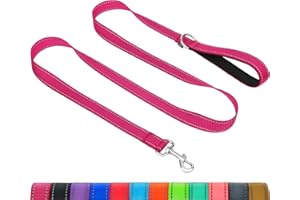 Taglory Guinzaglio per Cani Riflettente con Manico Imbottito e Gancio in Metallo, Nylon Resistente Addestramento Cane Guinzaglio, 1.2 m x 2.0 cm, Rosa Caldo