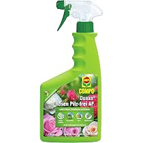 Compo Duaxo Rosen Pilz-frei AF, Bekmpfung von Pilzkrankheiten an Rosen,  Zierpflanzen und Krutern, Anwendungsfertige Handsprhflasche, 750 ml :  Amazon.de: Garten