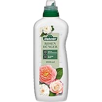 bester dünger für zitruspflanzen Zitrus-Flüssigdünger 500 ml