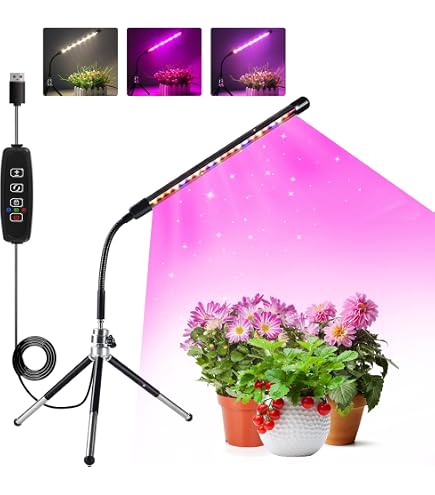 Sylvania Hydrogarden Lampada HPS 600W – 165.000 Lumen, 2000K, Per Fioritura E Coltivazione Indoor