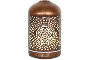 Earnest Living Metalowy dyfuzor olejków eterycznych, 250 ml, timery, lampki nocne i funkcja automatycznego wyłączania, nawilżacz powietrza do domu, biura, dyfuzory aromaterapeutyczne do olejków