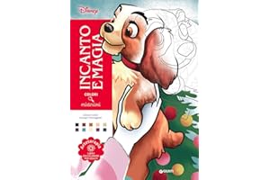 Incanto e magia. Disney. Colori misteriosi. Arteterapia. Libro da colorare per adulti. Ediz. a colori