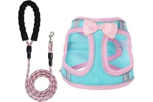 WENDISI Dog Harness with Leash Set, Step-in Breathable Puppy Cat Dog Vest Harnesses, No Pull Adjustable Reflective Puppy Harness with Soft Padded Vest for Extra-Small/Small Medium Large Dogs and Cats