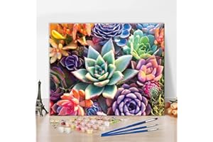 TISHIRON Pintura al óleo por números para plantas suculentas para adultos, principiantes y niños con pinceles y pigmento acrílico sin marco de 16 x 20 pulgadas para decoración de pared del hogar