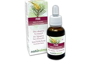 Pine o Pino silvestre (Pinus sylvestris) Remedios florales Naturalma - Gotas 30 ml - Extracto líquido sin alcohol - Esencias florales - Vegano y libre de alcohol