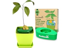 AVOSEEDO Grow Your Own Avocado Tree Kit - Unusual Gardening Gifts for Women and Men, Outdoor Indoor Plant, Home Decorations Accessories, Allotment Gifts for Her with Plant Pot