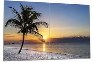 Wallario Herdabdeckplatte/Spritzschutz aus Glas, 2-teilig, 80x52cm, für Ceran- und Induktionsherde, Palme am Strand - Sonnenuntergang über dem Meer