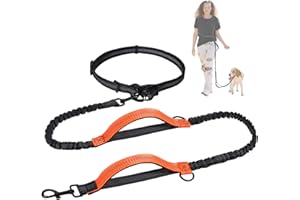 Snocyo Correa de Jogging para Perros, para Perros Grandes y medianos de tamaño Grande, Correa elástica y Reflectante, Correa retráctil con Doble asa y cinturón de Cintura