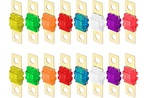 CJMUQHEHH 16 Pezzi Mini Fusibile Kit di Mini Fusibili 30A per Auto, Camion e Veicoli da Cantiere 20/30/40/50/60/80/100/125A