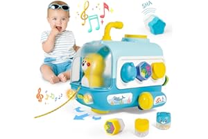 PENGBU RC Kinder Spielzeug ab 1 Jahr, Baby Spielzeug ab 6 8 9 18 Monate, Form Sortieren Babyspielzeug, Musikalische Spielzeuge für Babies, Kinderspielzeug Geschenke 1 Jahr Junge Mädchen