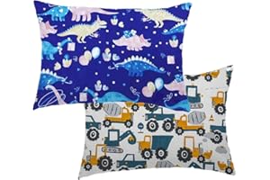 AISAWATE Federa per cuscino per bambini, 40 x 60 cm, confezione da 2 federe in cotone biologico, per passeggino, con chiusura a busta