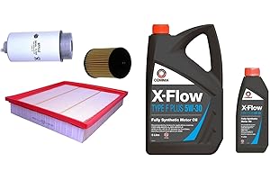 WLW Oil, Air & Fuel Filter Service Kit, WITH OIL