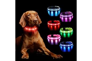 MASBRILL Collar Luminoso Recargable, Luz Perro para Oscuridad 7 Colores 8 Modos de Parpadeo, Ajustable Impermeable LED para Perros Grandes, Medianos y Pequeños, Rojo-M