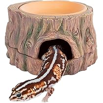 Faltbarer Schlangenkäfig & Reptilienbecken, 42x30x26 Cm – Mit Abnehmbarem Mesh-Deckel Für Geckos, Frösche & Kleine Schlangen