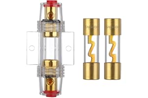 VEXUNGA AGU Sicherungshalter 40A Vergoldet Glassicherung Inline für Auto Audio Power Schutz Mit 2 Stück 40 Ampere AGU Sicherung Glasrohr