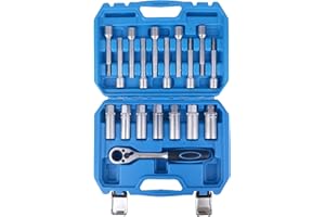 ‎DAYUAN DAYUAN 18tlg Stoßdämpfer Nuss Werkzeug Satz Federbein Domlager Wechsel Spezial Stecknuss 1/2' Antrieb