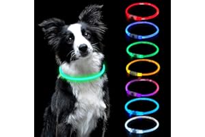 AUAUY Collier lumineux pour chien - LED - Rechargeable par USB - Longueur réglable - Collier de sécurité pour animal domestique - Découpable - Étanche - Pour chiens et chats - 7 couleurs