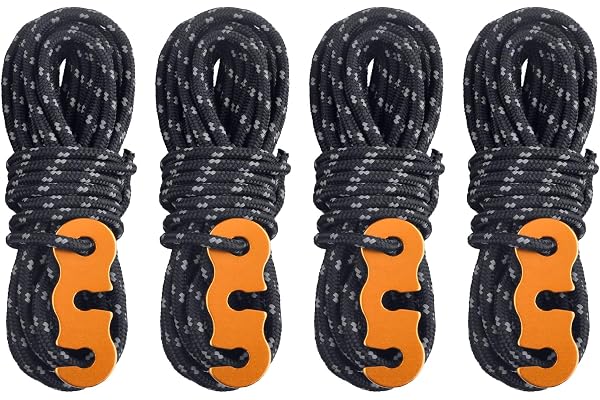 TRIWONDER Corde de Tente Réfléchissante 4 m Corde Nylon Diamètre 3 mm Cordelette Camping avec Tendeur pour Camping Tente Auvent Randonnée (Noir (Φ3mm) - 4 Pièces)