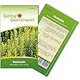 Rosmarin Mehrjährig Samen - Rosmarinus officinalis - Rosmarinsamen - Kräutersamen - Saatgut für 20 Pflanzen