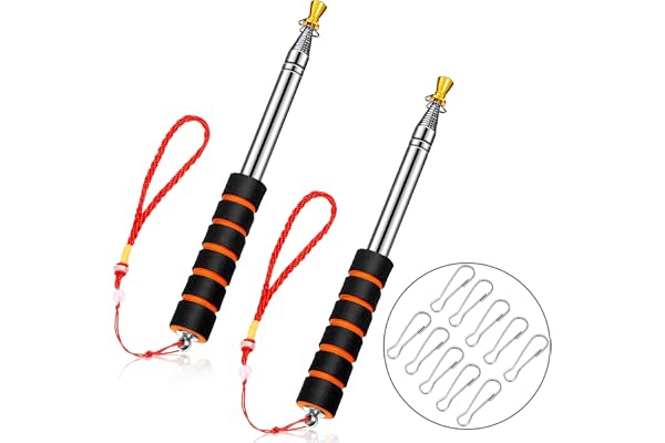 2 Pièces Mât Télescopique en Acier Inoxydable 2 m - Portable et Extensible pour Drapeau - 10 Crochets Inclus - Idéal pour Salle de Cours, Guide Touristique, Bannière