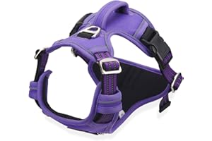 Dociote Harnais Chien Anti Traction, Harnais pour Chien Grand Moyen Réfléchissant Réglable Gilet Chien avec Poignée Respirante Harnais Poitrine de Sport sans Traction Violet M