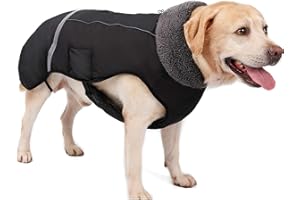 JRANTER Waterproof Windproof Dog Cold Weather Coats-Warm Dog Clothes Clothing Jackets for Small Large Medium Girl Boy Outdoor Indoor Activities(black, X-Large)