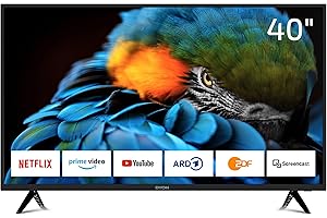 DYON Smart 40 XT Téléviseur 100 cm (40 Pouces) (Smart TV Full-HD, Triple Tuner HD (DVB-C/-S2/-T2), Prime Video, Netflix, Youtube & HbbTV, WLAN, Mode hôtel), Noir