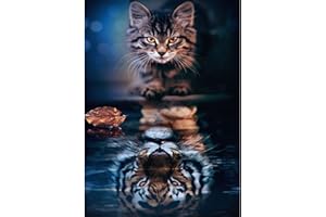 DAERLE Diamond Painting, Kit per Diamond Painting 5D, Gatto Pittura Diamante 5D Fai Da Te,Diamond Painting Kit Completo, Gatto e Tigre, Arte e Artigianato, Decorazione per Casa e Pareti 30x40cm