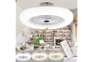 SWANEW Plafonnier Ventilateur De Plafond, 2 pièces 80W LED Fan Plafonnier avec Télécommande, Moderne 2700K-6500K Température de couleur Vitesse Réglable Éclairage Fan Φ55CM